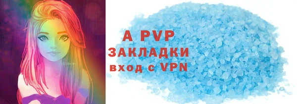 спиды Богородицк