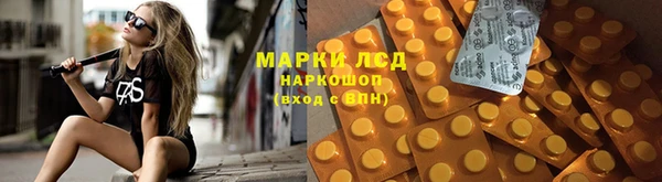спиды Богородицк