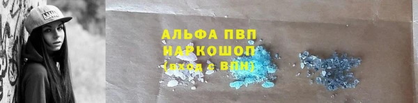 спиды Богородицк