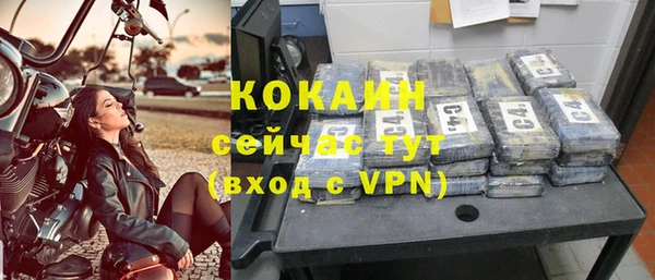 спиды Богородицк