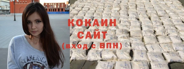 спиды Богородицк