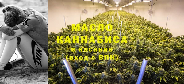спиды Богородицк