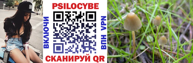 Псилоцибиновые грибы MAGIC MUSHROOMS  магазин продажи   Цивильск 